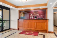 Econo Lodge Woodbridge - Motels