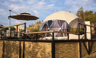 EcoHouse Glamping by ART HOTEL