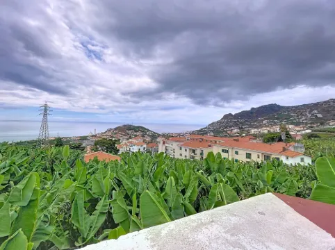 애틀랜틱 홀리데이의 피탕가