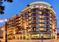 Hampton Inn & Suites Baton Rouge Downtown - 2 stjerner