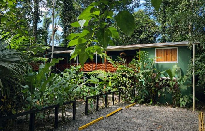 Hotel Boutique the Green Jungle House