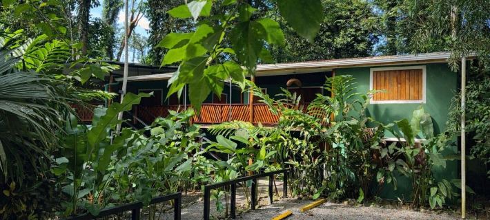 Hotel Boutique the Green Jungle House Hotels in Talamanca