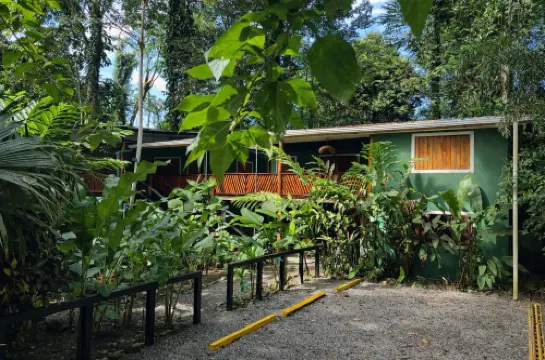 Hotel Boutique the Green Jungle House