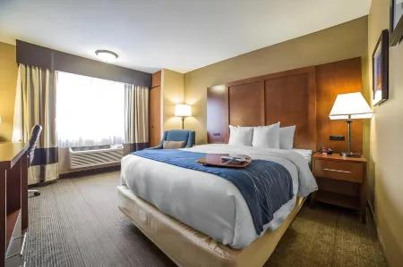 Comfort Inn Grand Junction I-70