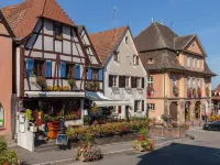Apartment in Alsace near Europa-Park