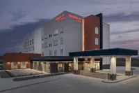 Hampton Inn by Hilton Dexter - 2-Star