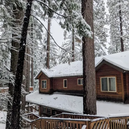 Charming 4-bedroom "Pine Hill Home" in Arnold near Big Trees Park & Bear Valley Отели в г. Арнолд