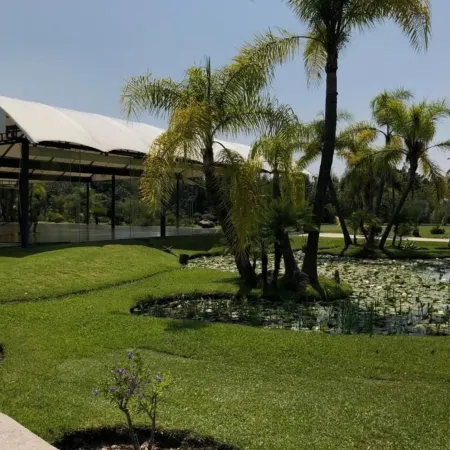 Huayacán Cuernavaca Curamoria Collection