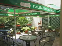 Elizeu Hotel Hotels near Bucharest Botanical Garden