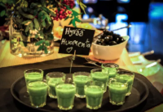 Aateli Lakeside Chalets - Former Vuokatti Suites