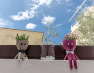Apartments Cosic - Homestays