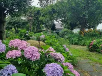 Jangheung Taengdaengi Glamping
