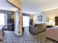 Comfort Inn & Suites Ambassador Bridge Hotels in Windsor