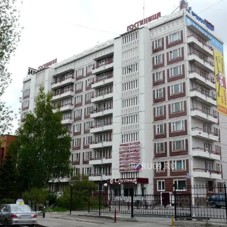 Спутник