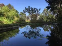 Vishuddhialaya
