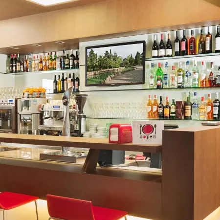Ibis Lleida
