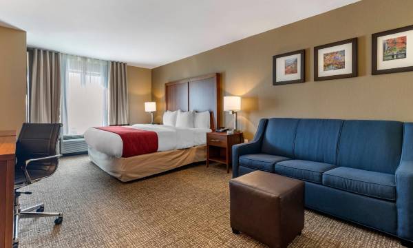 Comfort Inn & Suites Russellville I-40