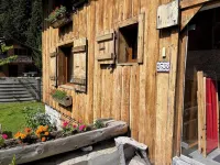 Appartment 4 persons in Morzine - 2-Star