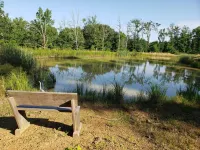 Comfy Home Near Ozark-Francis National Forest, Bdrx, & Buckhorn Ohv Trails - Hytter