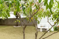 บ้านเมือง 2 ห้องนอนที่ Surbiton Square - บังกะโล