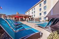 TownePlace Suites Odessa - ペット同伴可