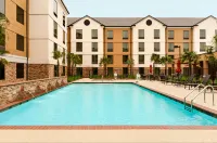 Homewood Suites by Hilton Shreveport / Bossier City - مسبح
