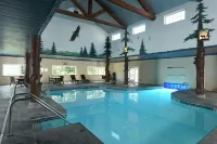 Stoney Creek Hotel la Crosse - Onalaska - Pools
