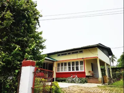 Gibbon Backpackers Hostel Các khách sạn ở 