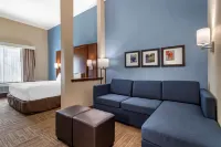 Comfort Suites Hotels in Cedar Park