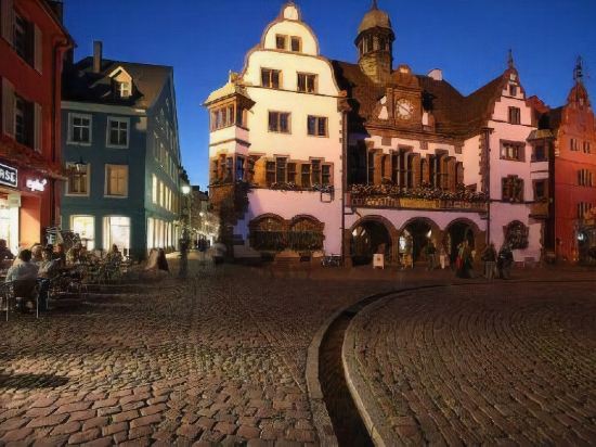 10 Best Hotels near Flugsimulator Freiburg, Freiburg im Breisgau 2022 |  Trip.com
