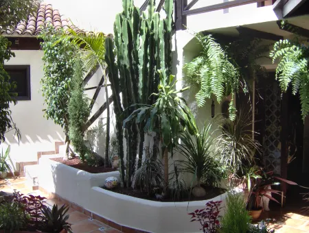 Small Studio (15m²) for Single Use with Sea View Отели в г. Икод-де-лос-Винос