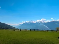 Vetan