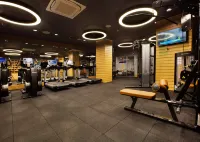 Holiday Inn ISTANBUL - KADIKOY by IHG - Gym