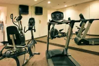 Holiday Inn Express & Suites BROOKSVILLE-I-75 by IHG - Gym