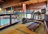 Holiday Inn SAINT LOUIS WEST AT SIX FLAGS by IHG - bar