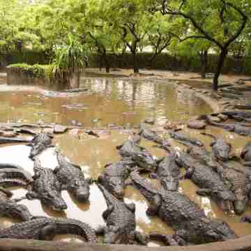 Le Grace Kovalam Others