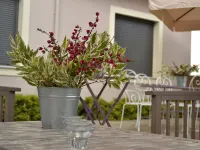 Ellopia Point Hotel Ξενοδοχεία στην πόλη Μπιζάνι