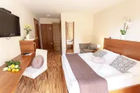 Villa Aina Boutique Hotel Отели в г. Celje