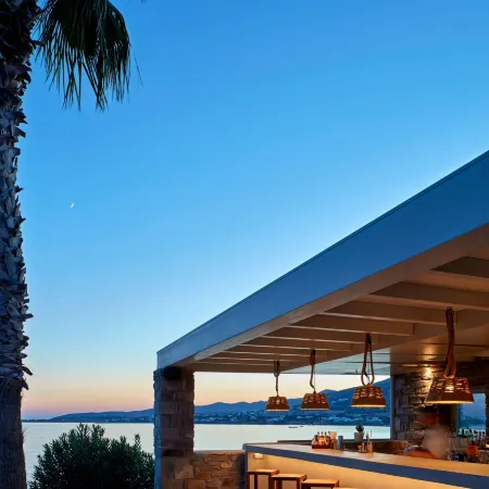 Poseidon of Paros Hotel & Spa