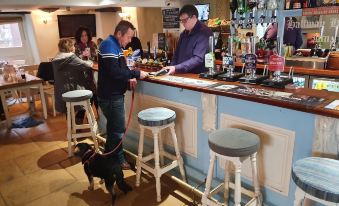 a man is standing at a bar with a dog on his lead , interacting with the bartender at Halfway House Inn