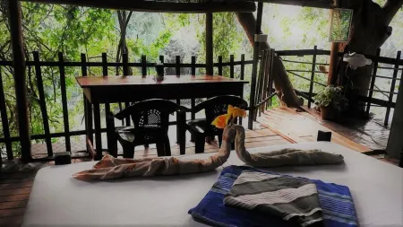 亞拉河邊小屋酒店