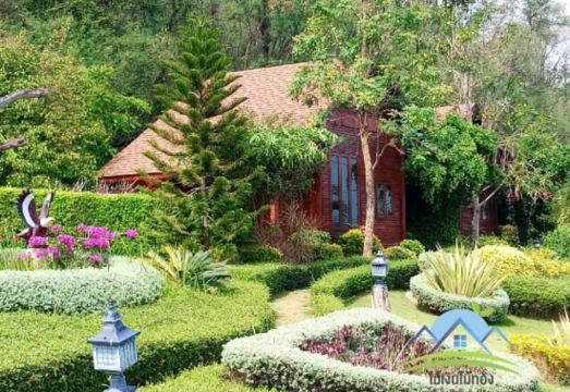 3. 메인겐 마이통 ..