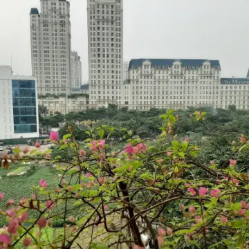 V-Studio Hotel Apartment 3 Hotels near My Dinh National Stadium