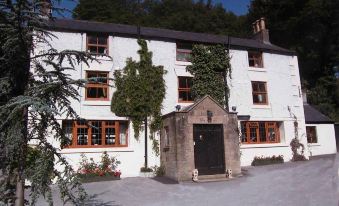 Pig-of-Lead - Housity