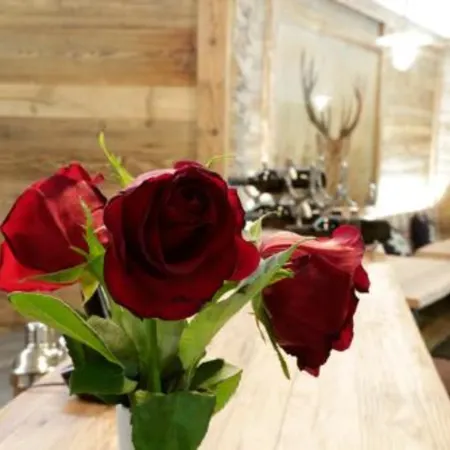 Amber Ski-in/Out Hotel & Spa