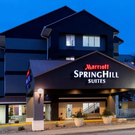 SpringHill Suites Rochester Mayo Clinic Area/Saint Marys