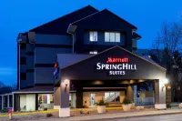 SpringHill Suites Rochester Mayo Clinic Area/Saint Marys