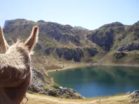 아파르타멘토 루랄레스 부에나마드레 Camin Real de la Mesa 호텔