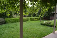 Tin House in Tanunda Hotels in Nuriootpa