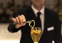 美憬閣日內瓦扶輪飯店 - 酒吧